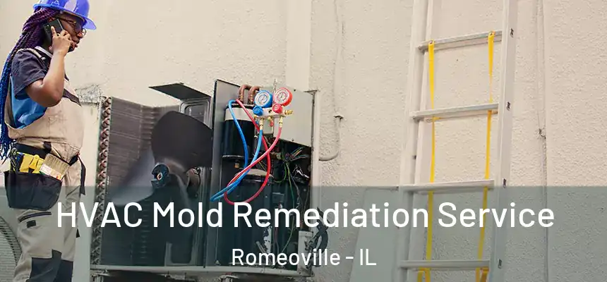  HVAC Mold Remediation Service Romeoville - IL