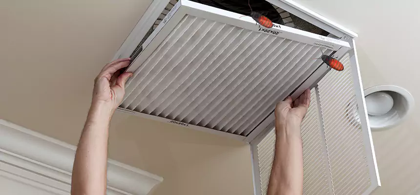Preventive Cockroach-Proofing for Ducts in Romeoville