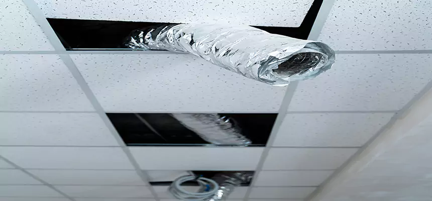 Affordable HVAC Sanitizing After Pest Removal in Romeoville