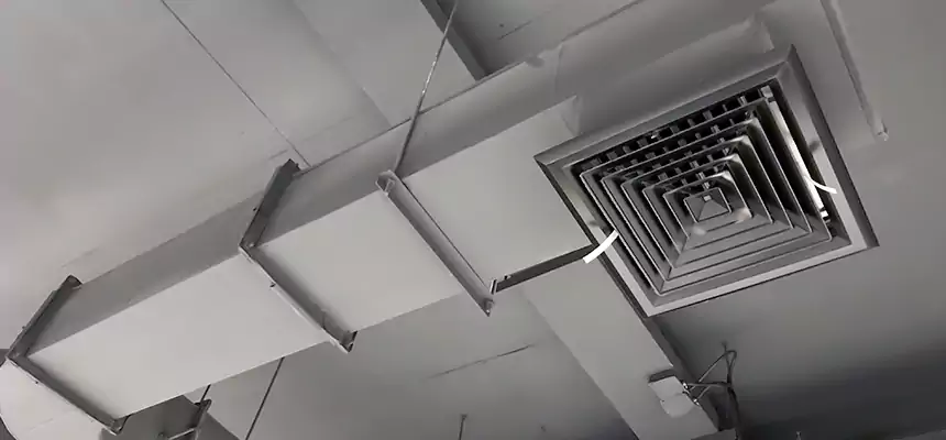 Our Pest Removal From Ducts Services in Romeoville, IL