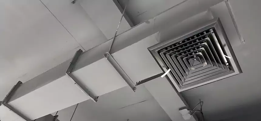 Our Rodent Droppings In Vents Services in Romeoville, IL