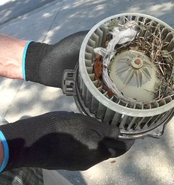 About Air Duct Rat Removal in Romeoville, IL