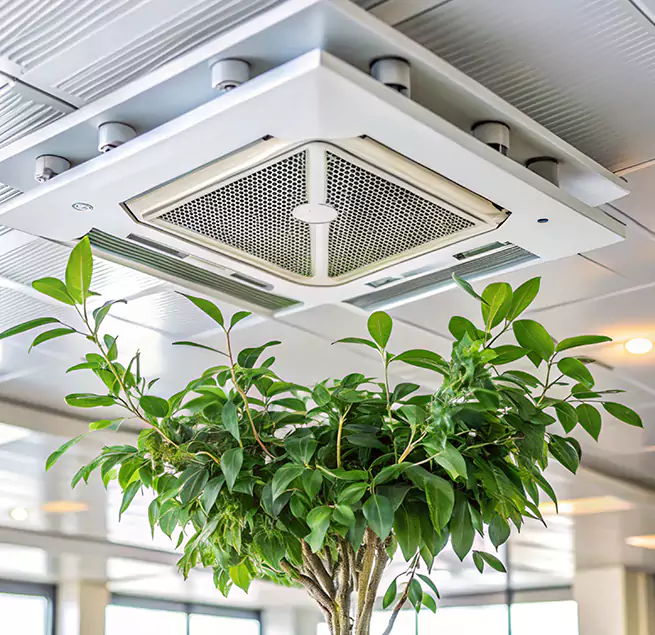 Why Homeowners & Businesses Trust Us in Romeoville, IL?